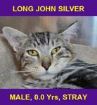 LONG JOHN SILVER